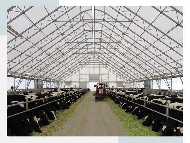 Тентовые коровники в Барнауле от 607 руб. - Надежно и доступно